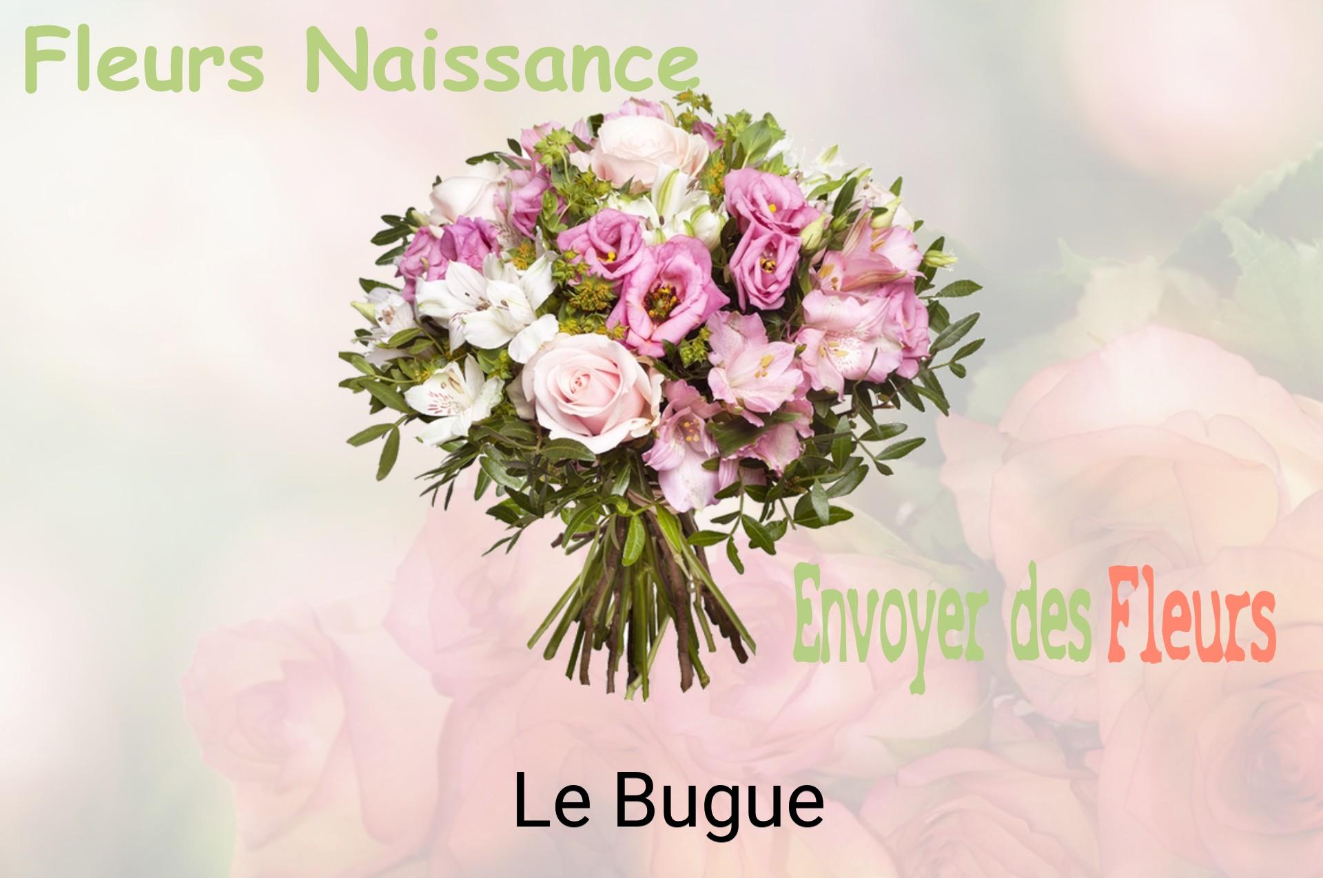 Bouquet de fleurs de naissance livré à Le Bugue